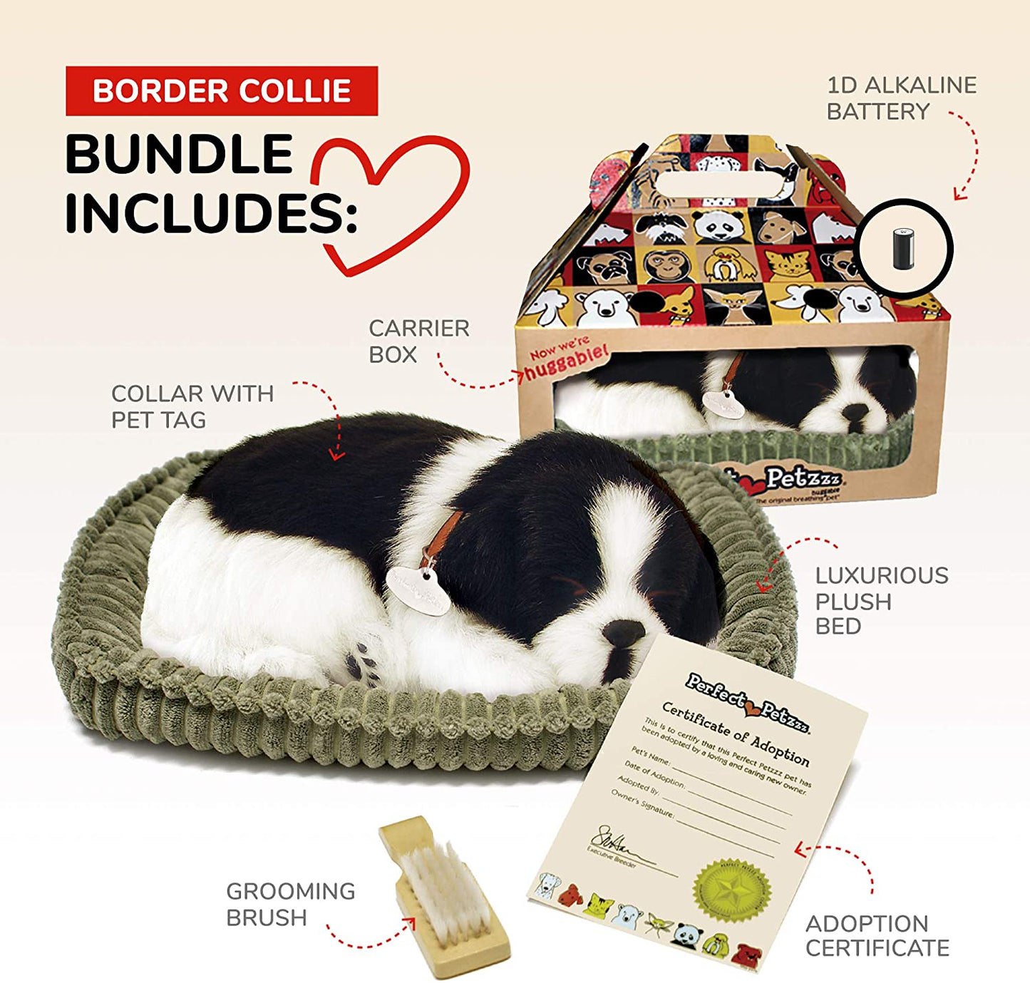 Pp Border Collie