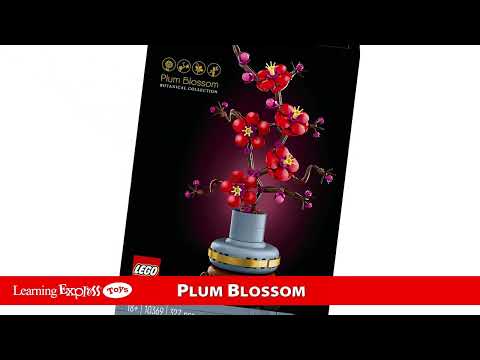 Plum Blossom