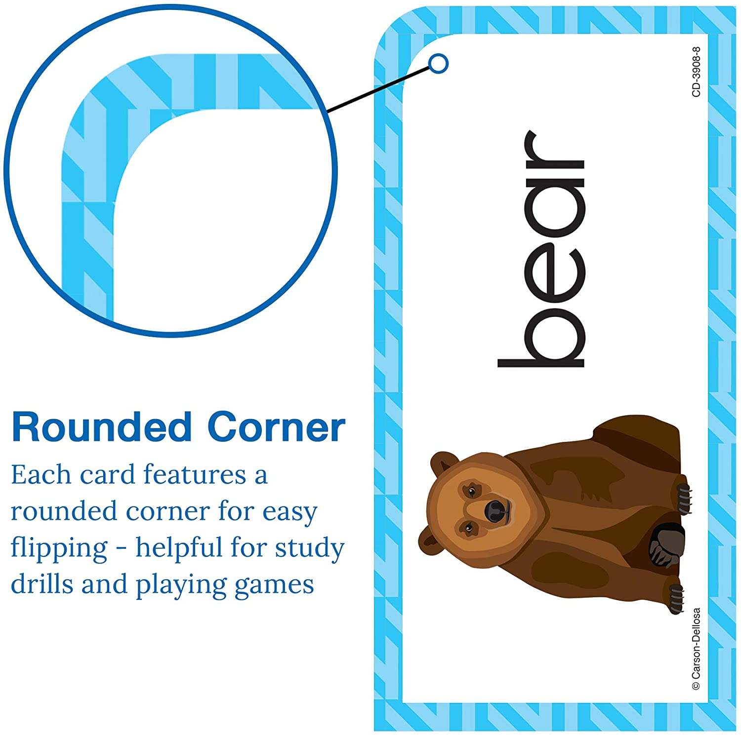 Picture Word Flash Cards