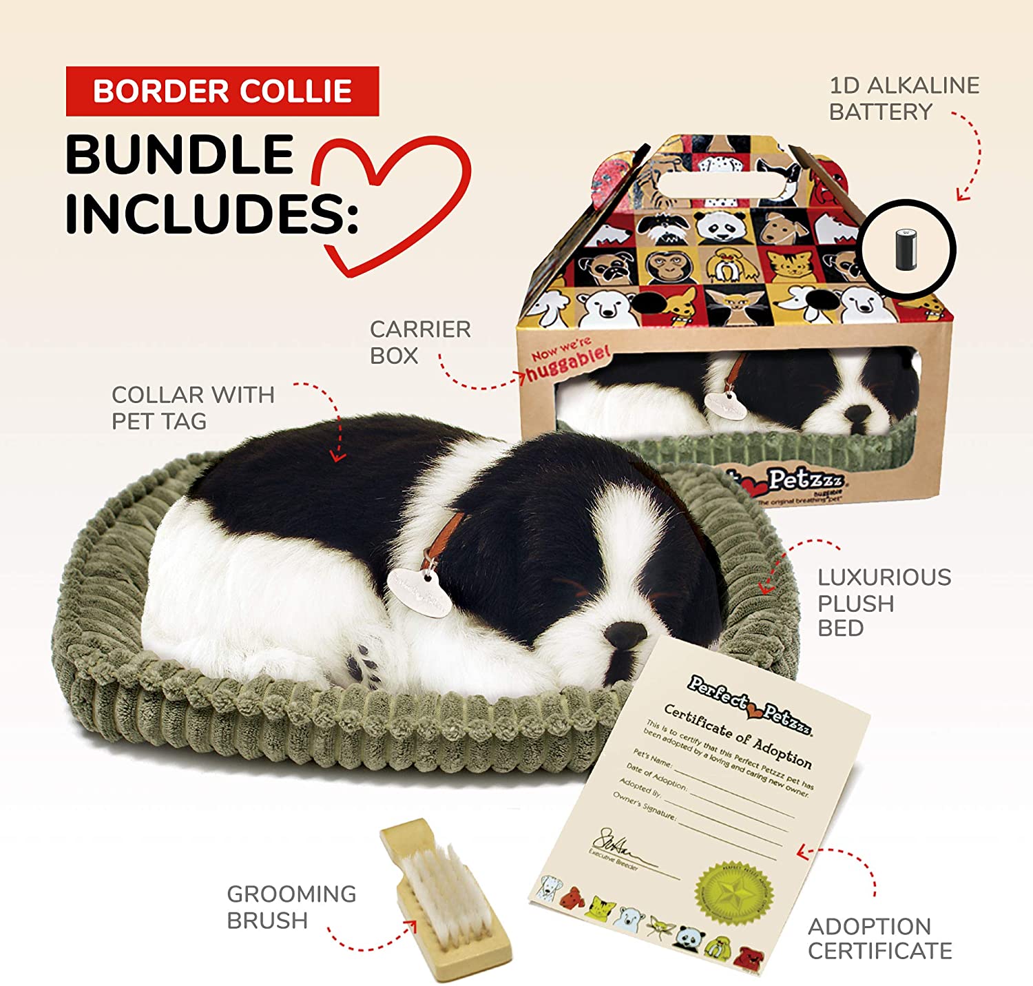 Pp Border Collie