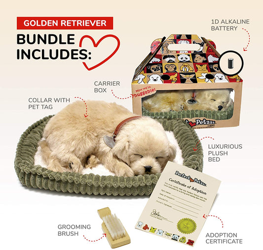 Pp Golden Retriever