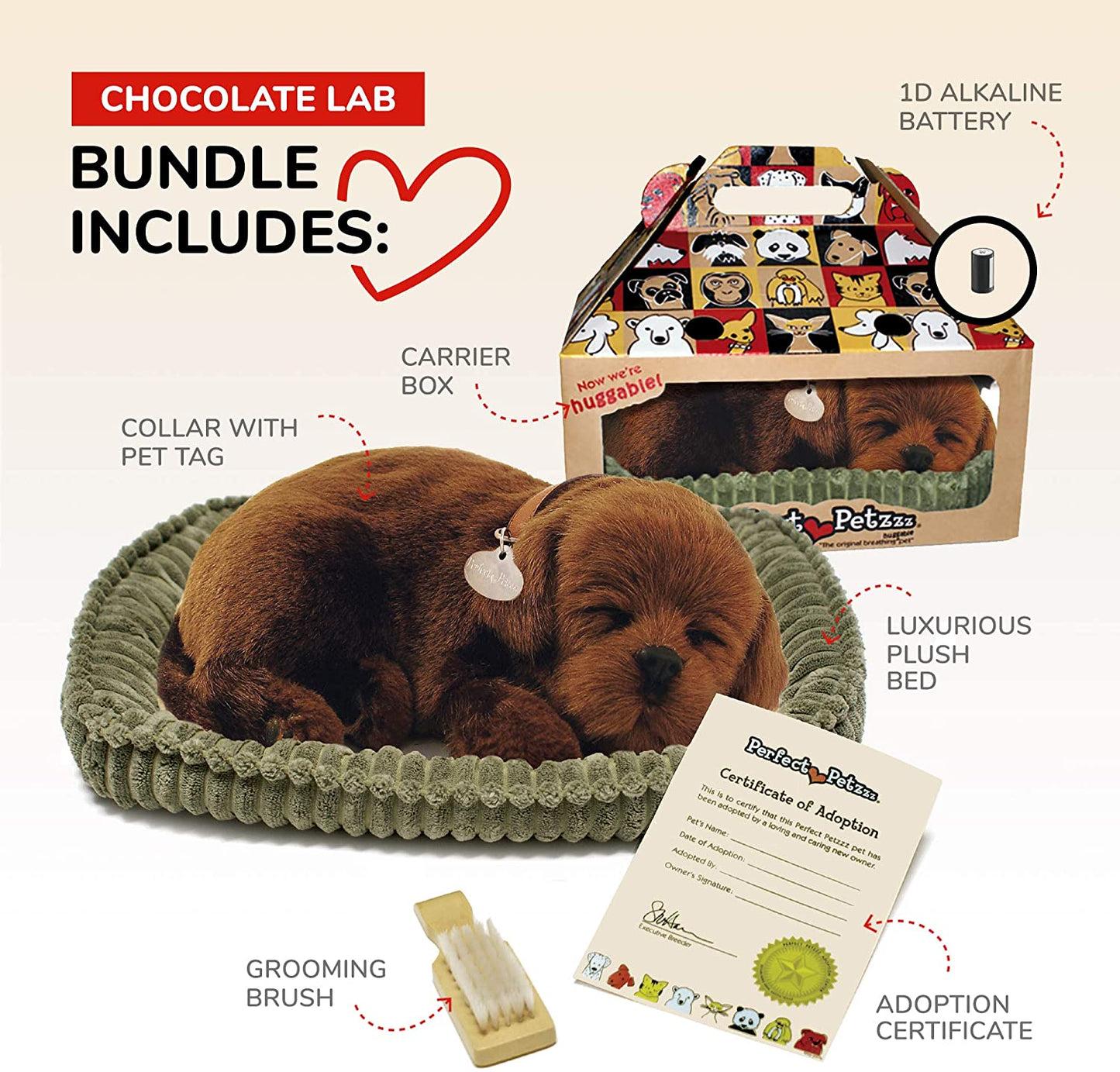 Pp Chocolate Lab
