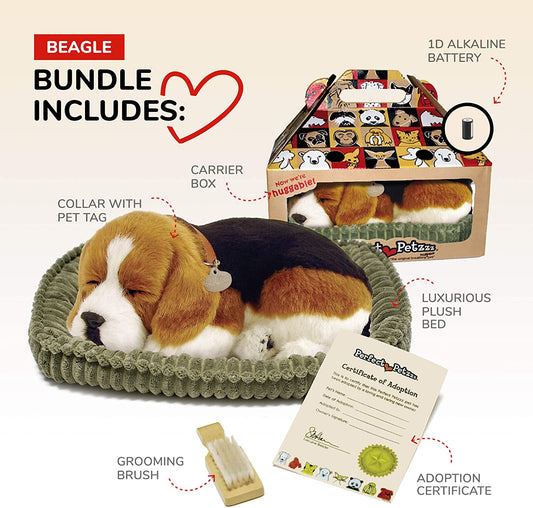 Pp Beagle