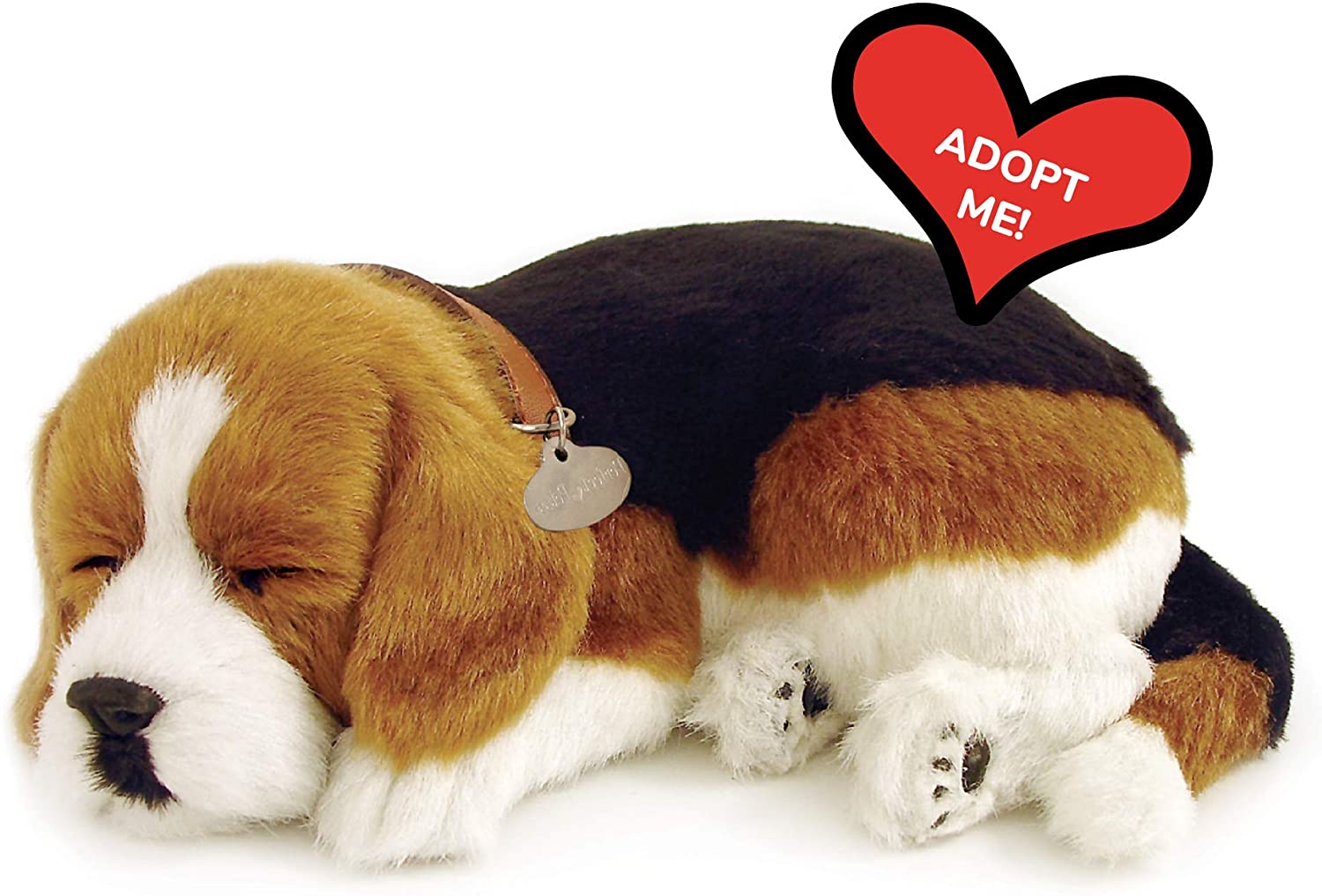Pp Beagle