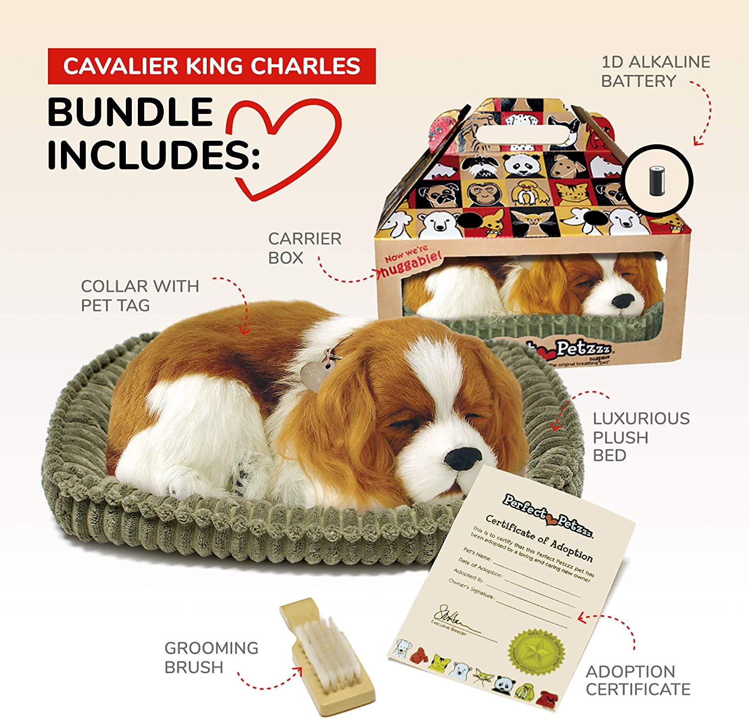 Pp Cavalier King Charles