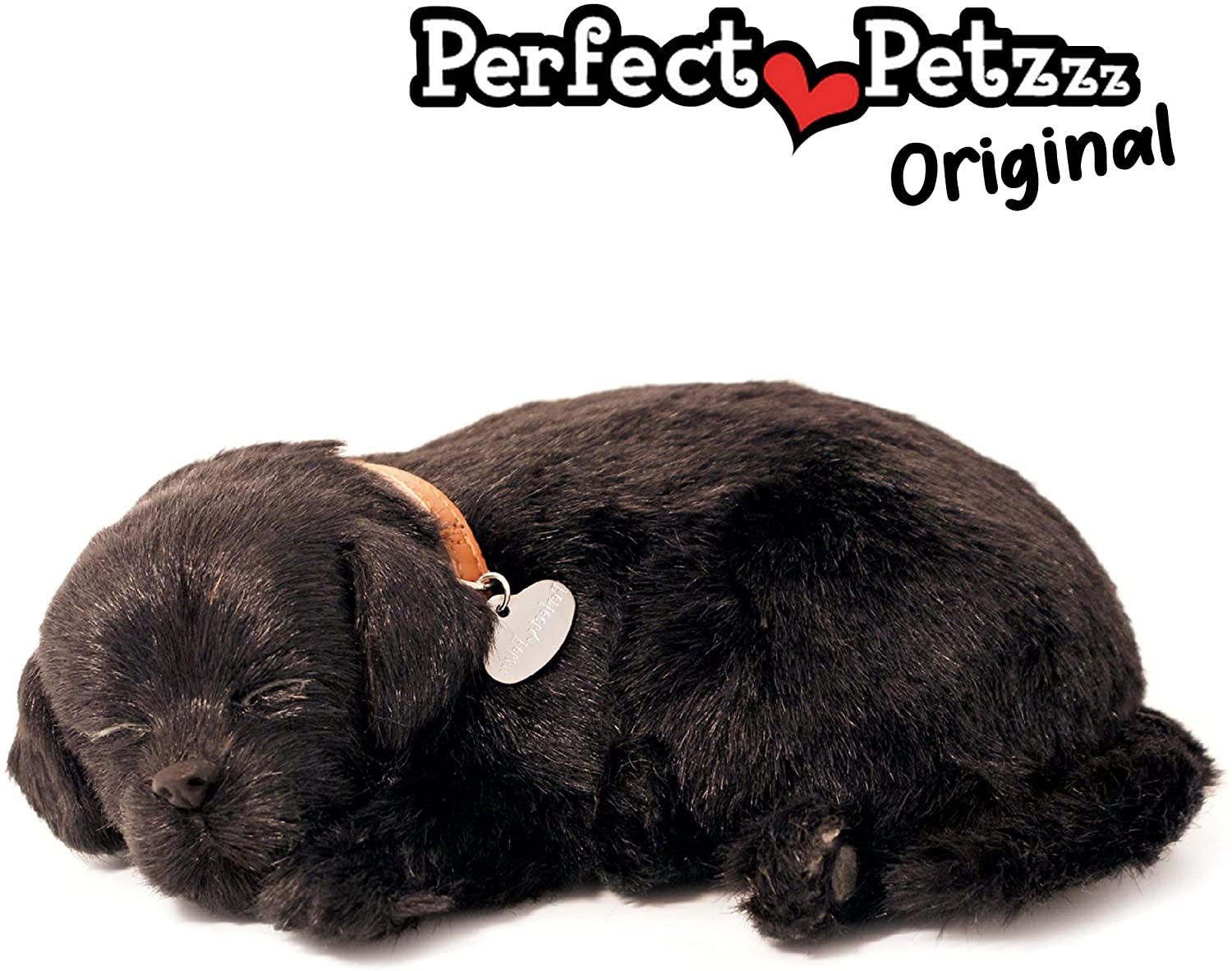Pp Black Lab