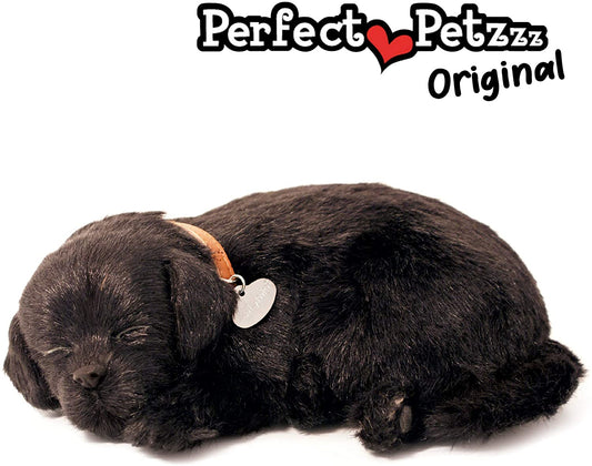 Pp Black Lab
