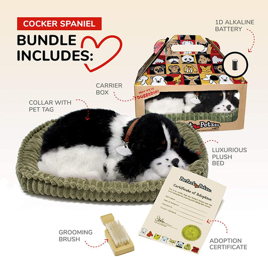 Pp Cocker Spaniel
