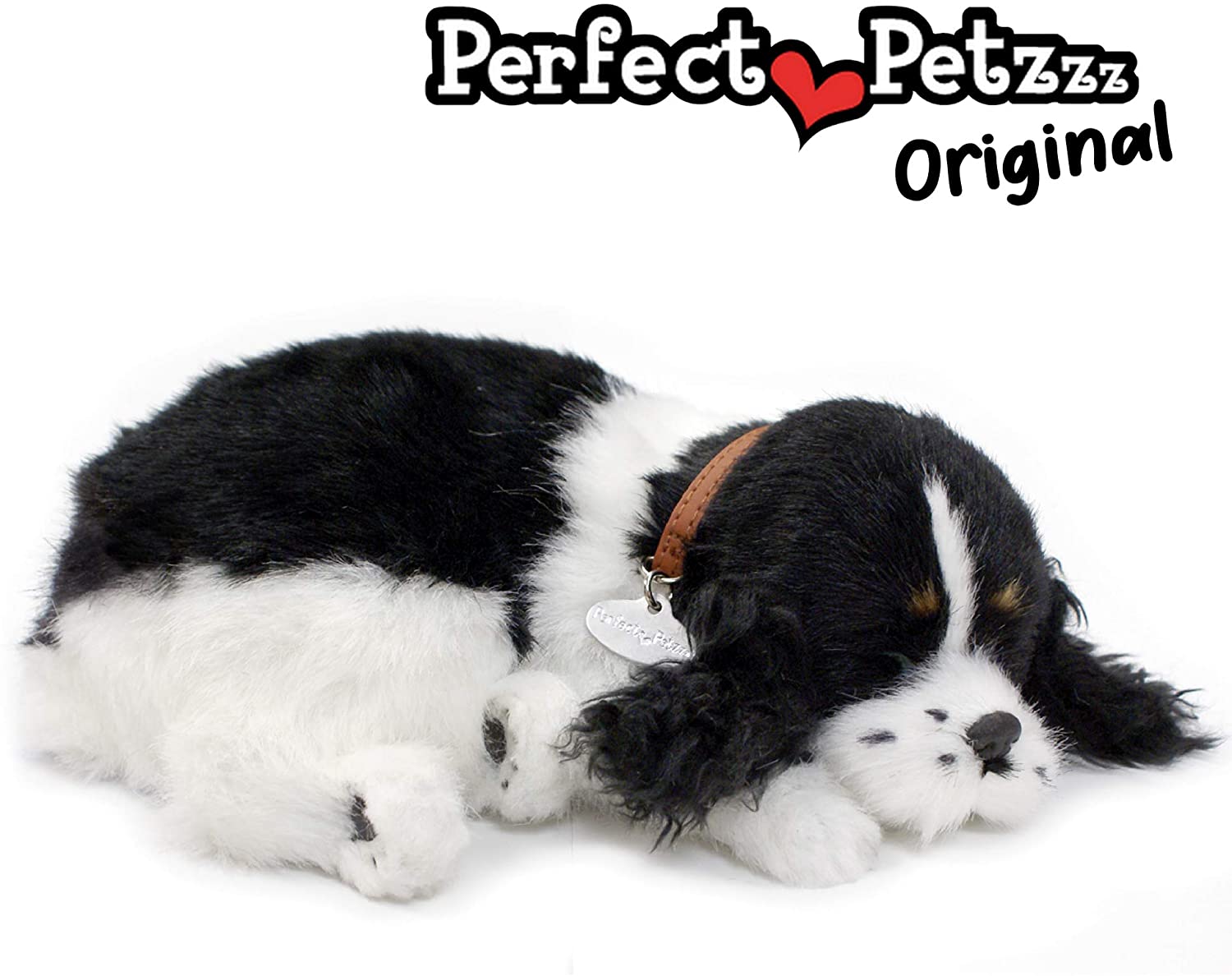 Pp Cocker Spaniel