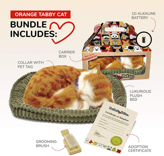 Pp Orange Tabby