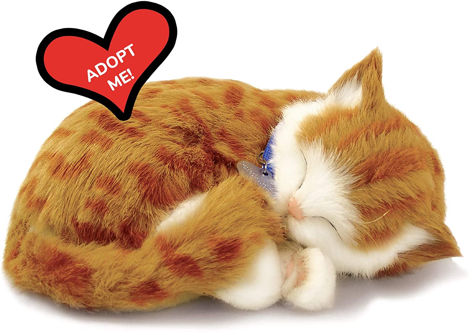Pp Orange Tabby