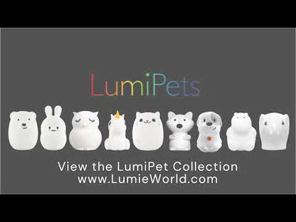 Lumipets Penguin N Remote