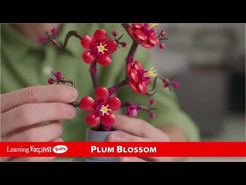 Plum Blossom