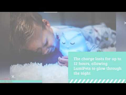 Lumipets Dragon/Remote