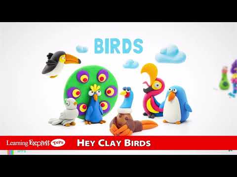Hey Clay Birds