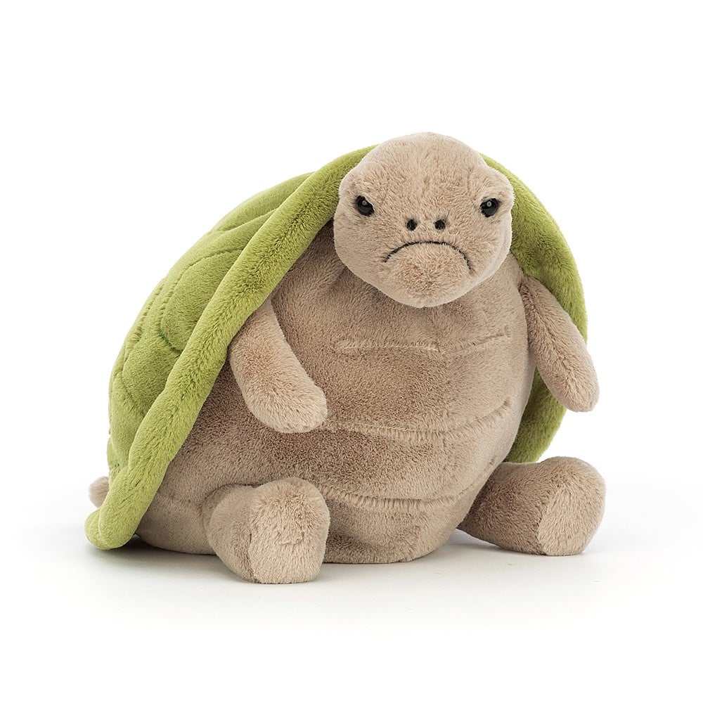 Timmy Turtle 9in
