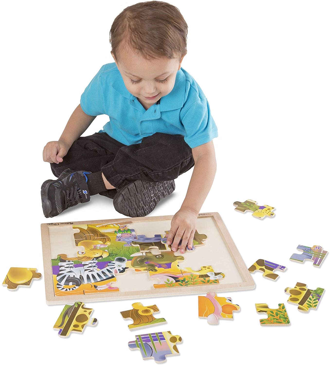 African Plains Puzzle