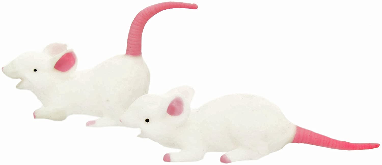 Mice and Cheese