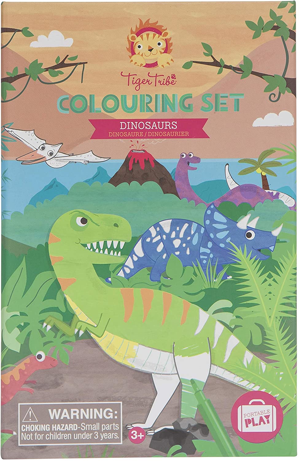 Dinosaur Coloring Set