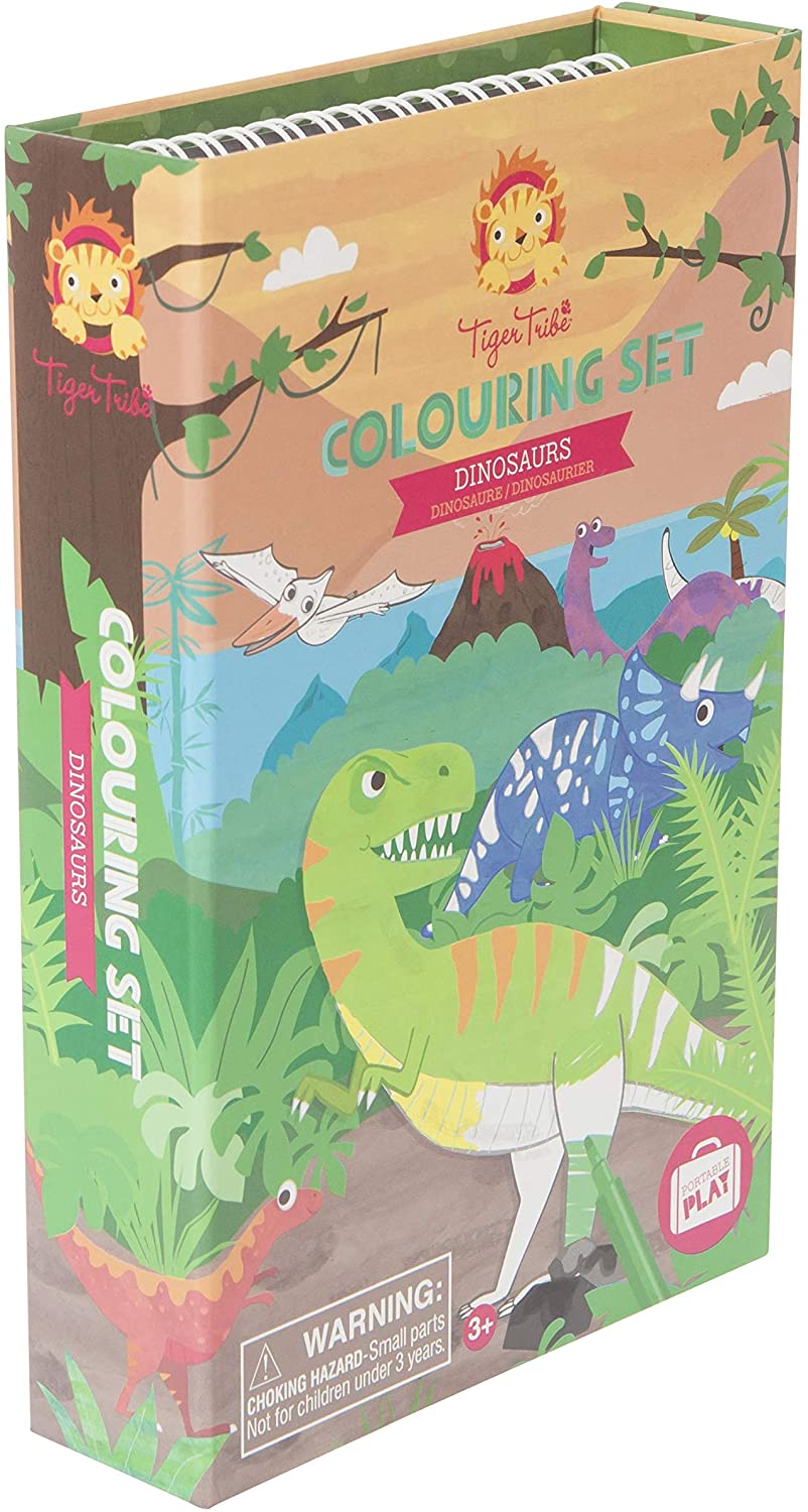 Dinosaur Coloring Set