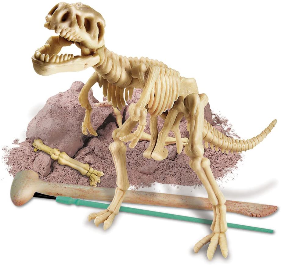 Dig a Dino Trex