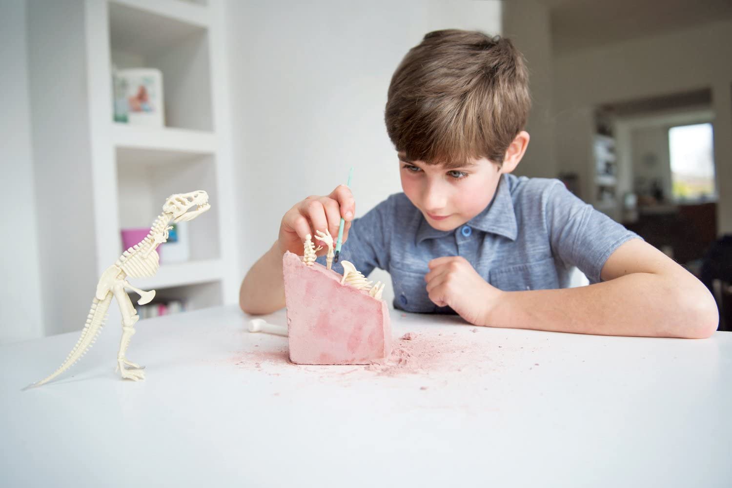 Dig a Dino Trex
