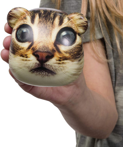 Catstronaut