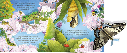 Pop Up Butterflies