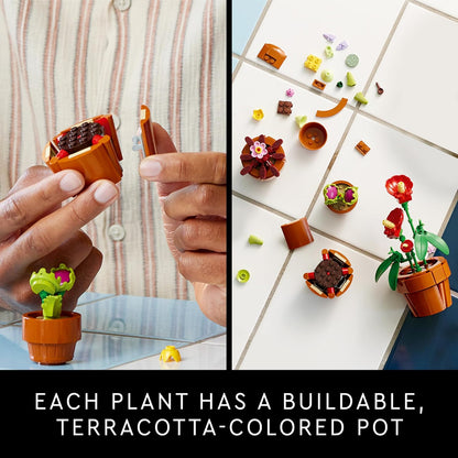 Tiny Plants Botanical '24