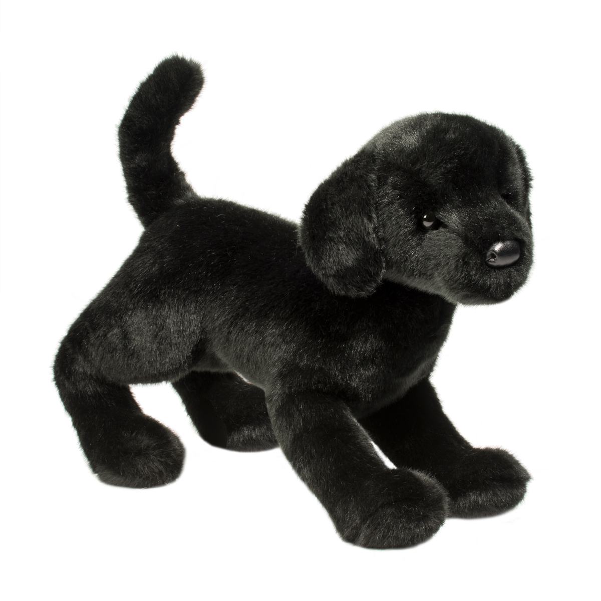 Chester Black Lab