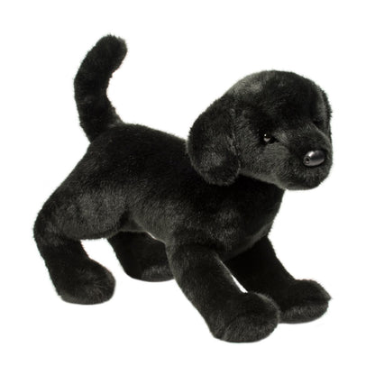 Chester Black Lab