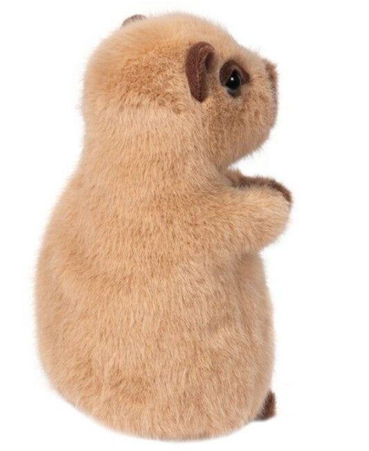 Chattie Capybara Mn Soft