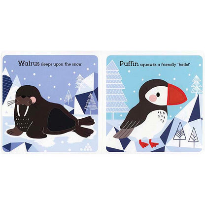 Arctic Animals