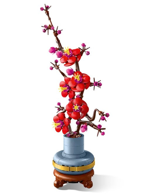 Plum Blossom