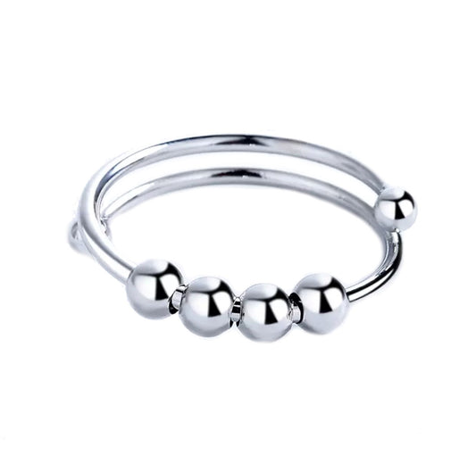 Fidget Ring Silver