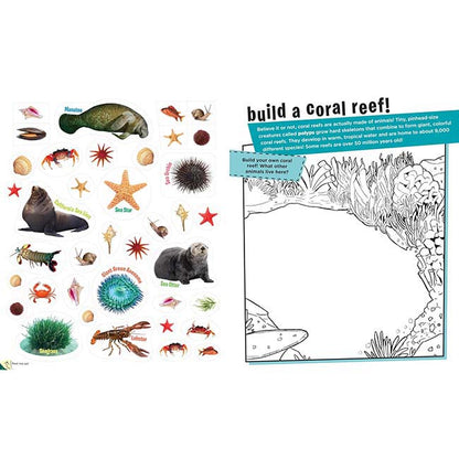 Peel and Discover Oceans