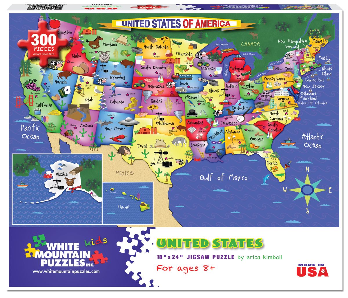 USA Map 300 Pc