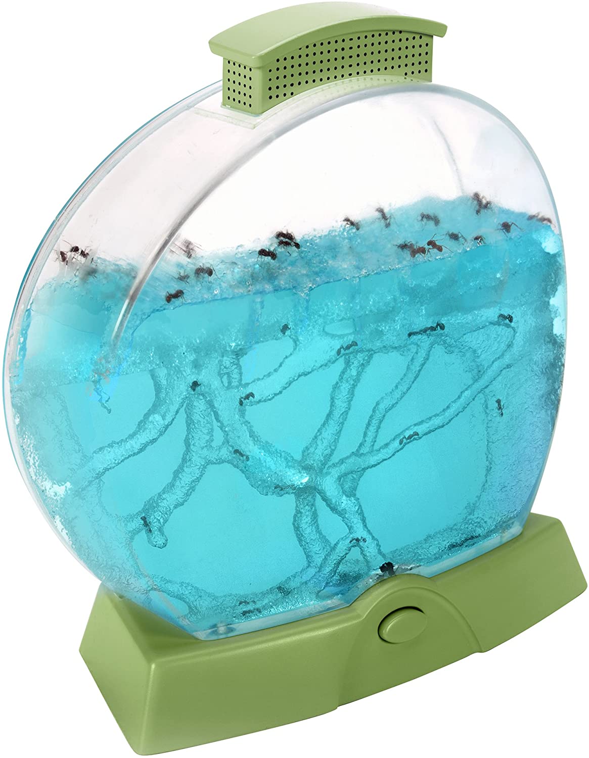 Geosafari Ant Farm