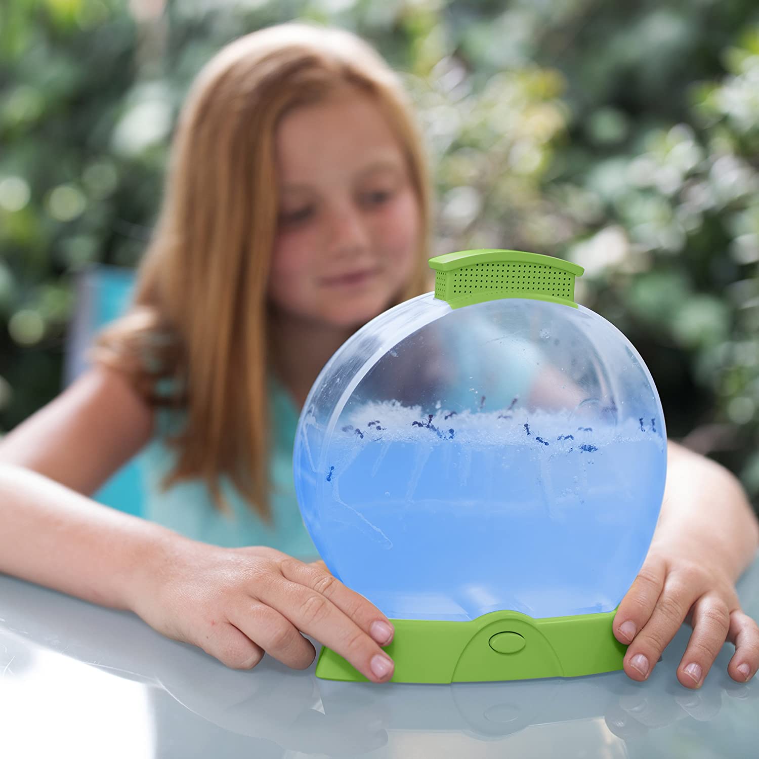 Geosafari Ant Farm