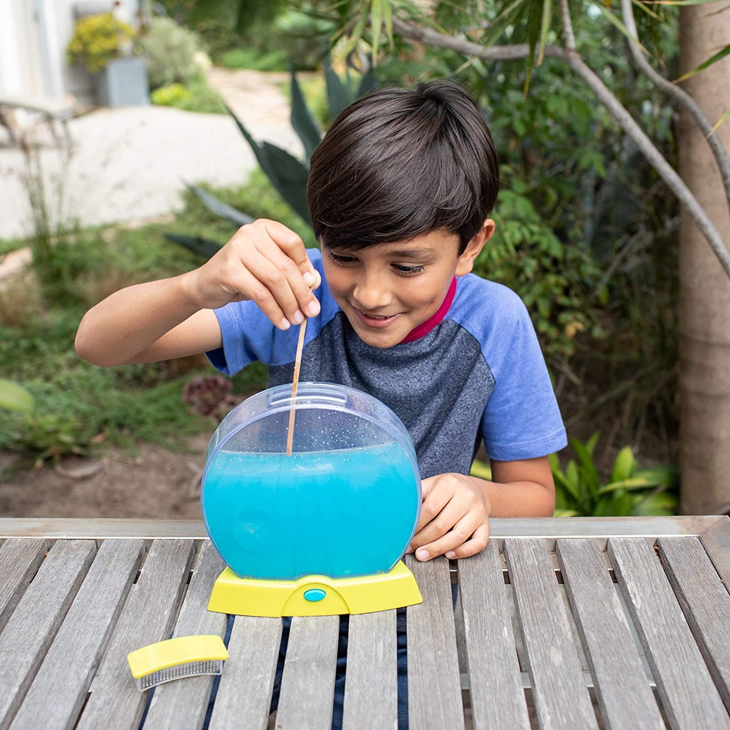 Geosafari Ant Farm