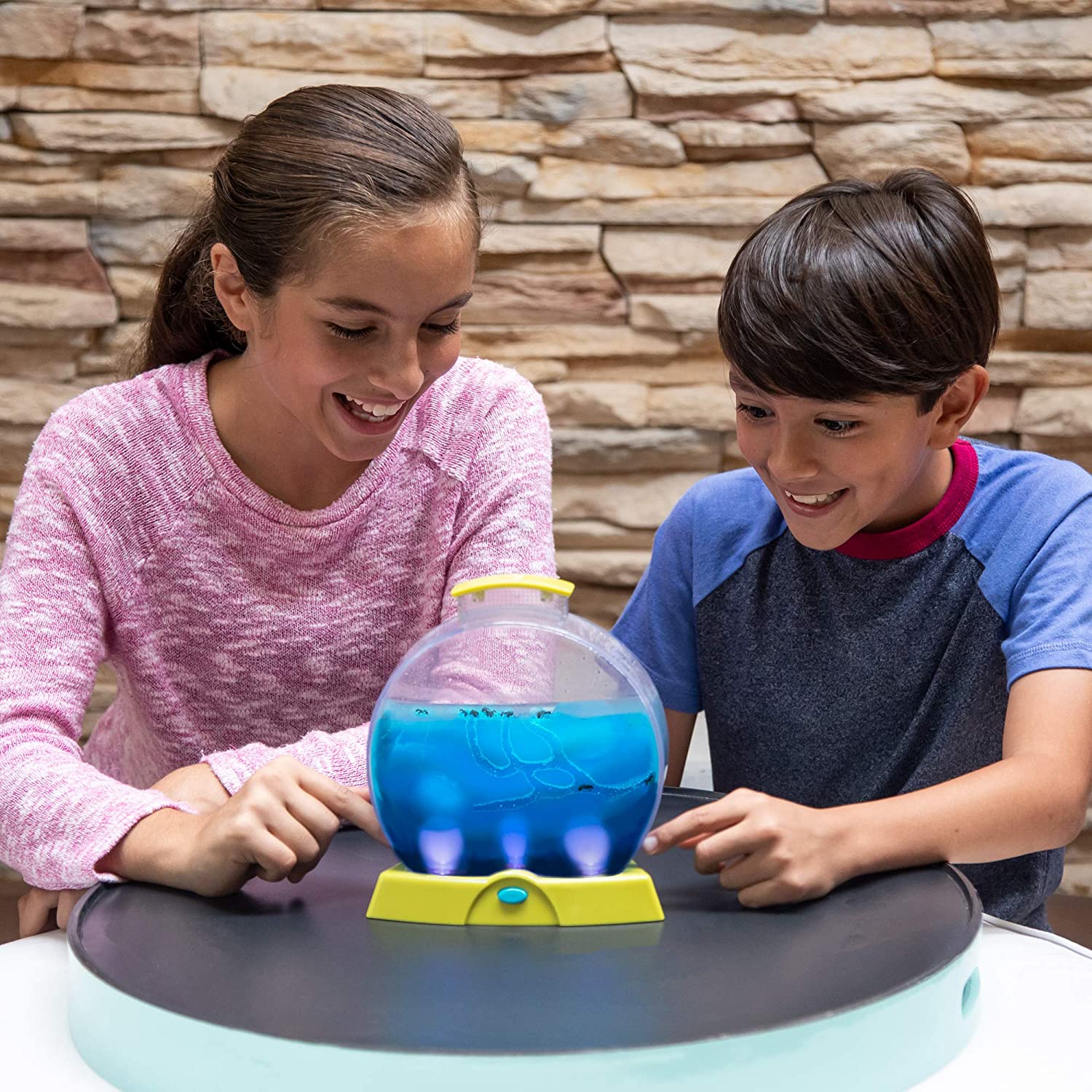 Geosafari Ant Farm